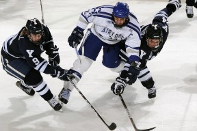 地方足协与高校联合开展足球科研项目促技战术提升，关于推进地方足球协会调整改革的指导意见